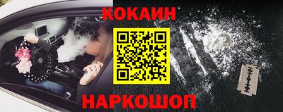 Альфа ПВП Кандалакша