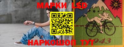 Альфа ПВП Кандалакша