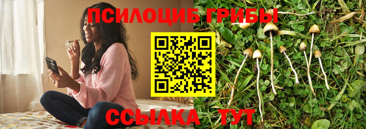 Галлюциногенные грибы прущие грибы  Галлюциногенные грибы Magic Shrooms  Вход с VPN  Волжский 