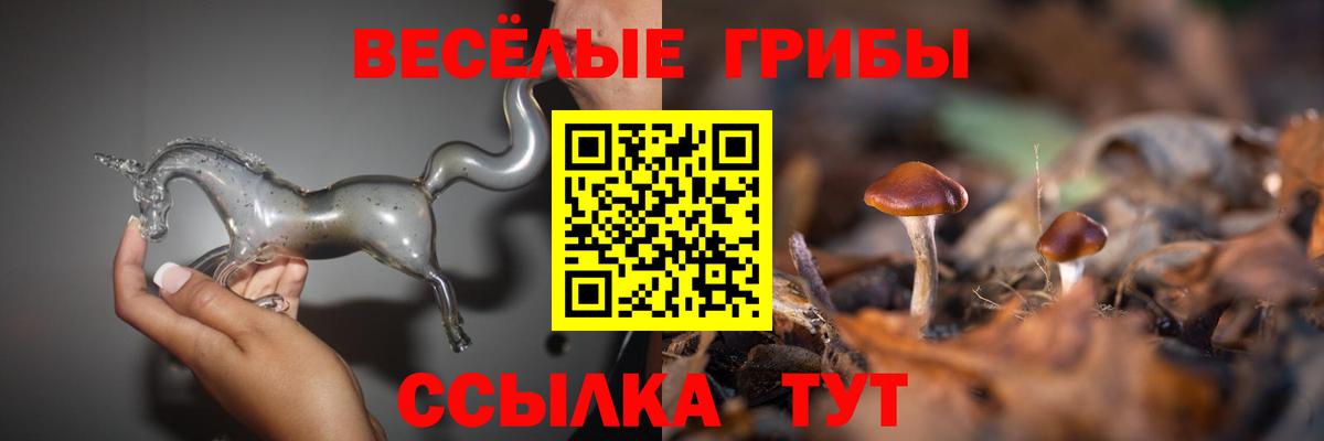 Псилоцибиновые грибы ЛСД Волжский